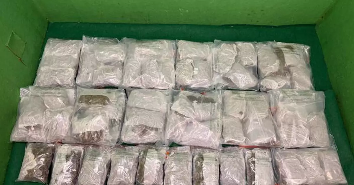 Customs Seizes 14kg of Cannabis at Hong Kong Airport, Arrests Three Passengers from Bangkok.