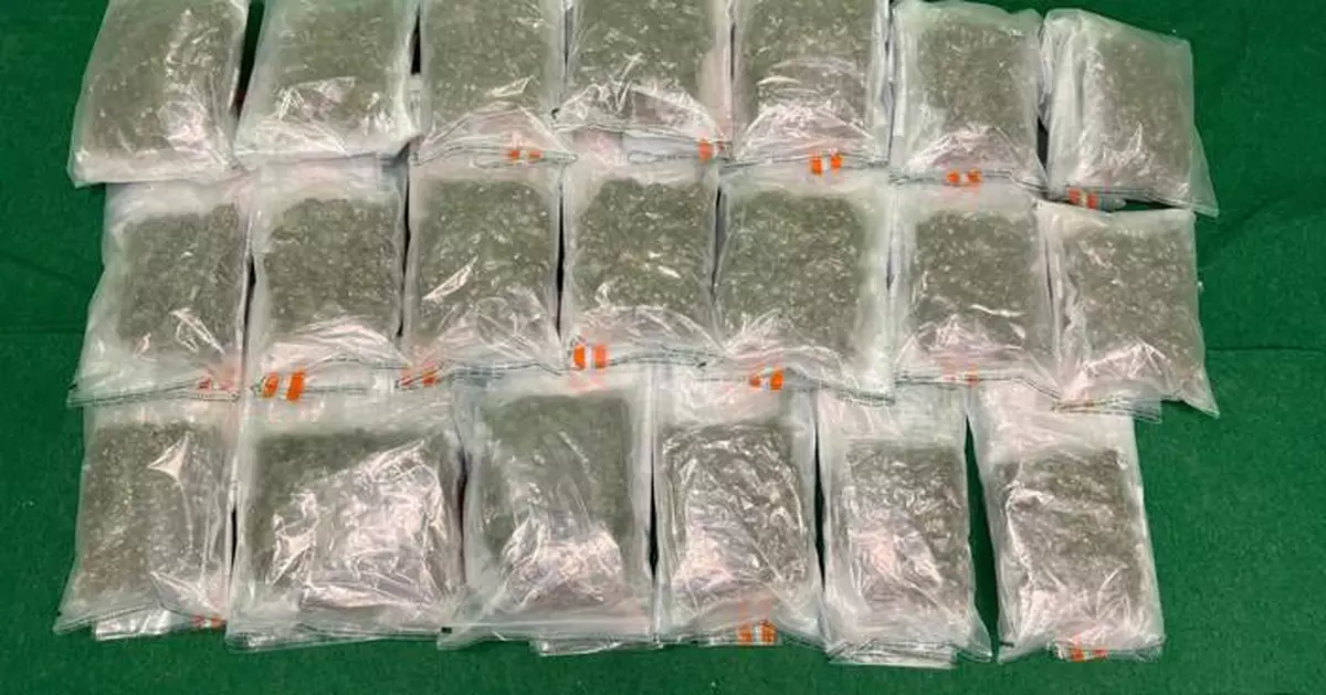 Hong Kong Customs Seizes 10kg of Cannabis Buds, Arrests Female Passenger at Airport