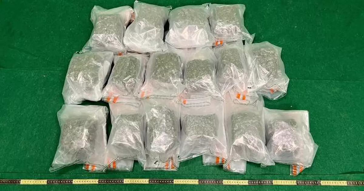Hong Kong Customs Seizes 16 Kg of Cannabis Buds from Passengers at Airport, Arrests Two Suspects