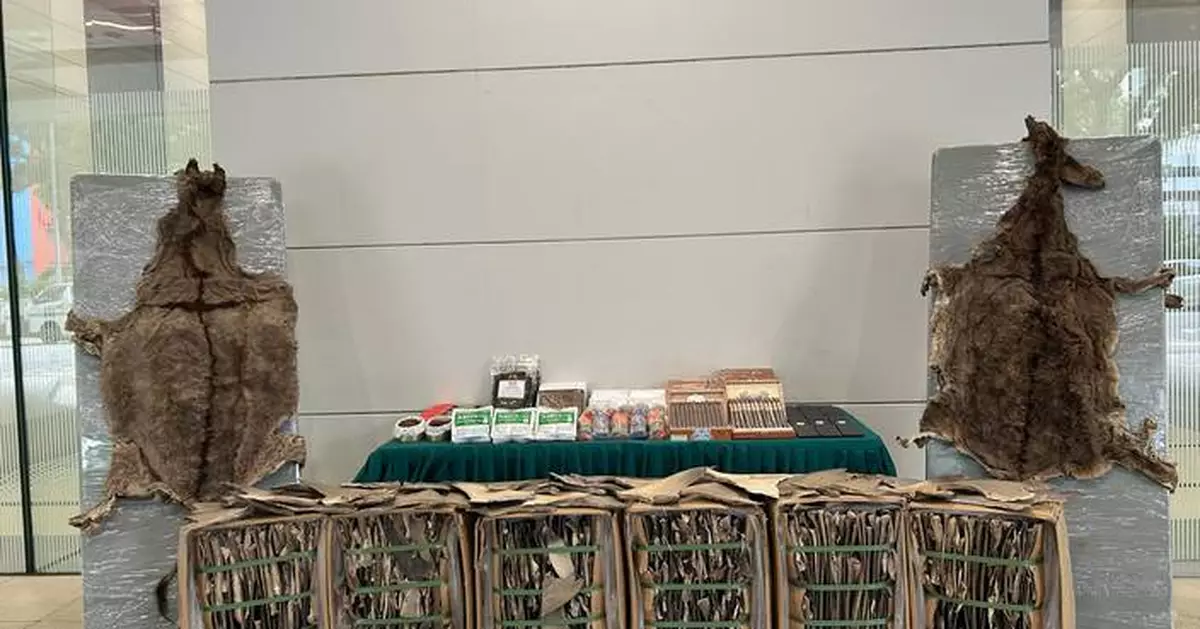 Hong Kong Customs Seizes $200 Million in Suspected Smuggled Goods from Two Vessels