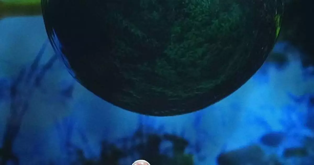 Pope Leo XIV takes aim at climate skeptics as he embraces predecessor's environmental legacy