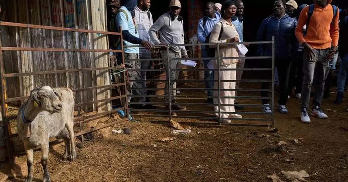 A neglected and ancient trade in Spain gets a boost from African migrants