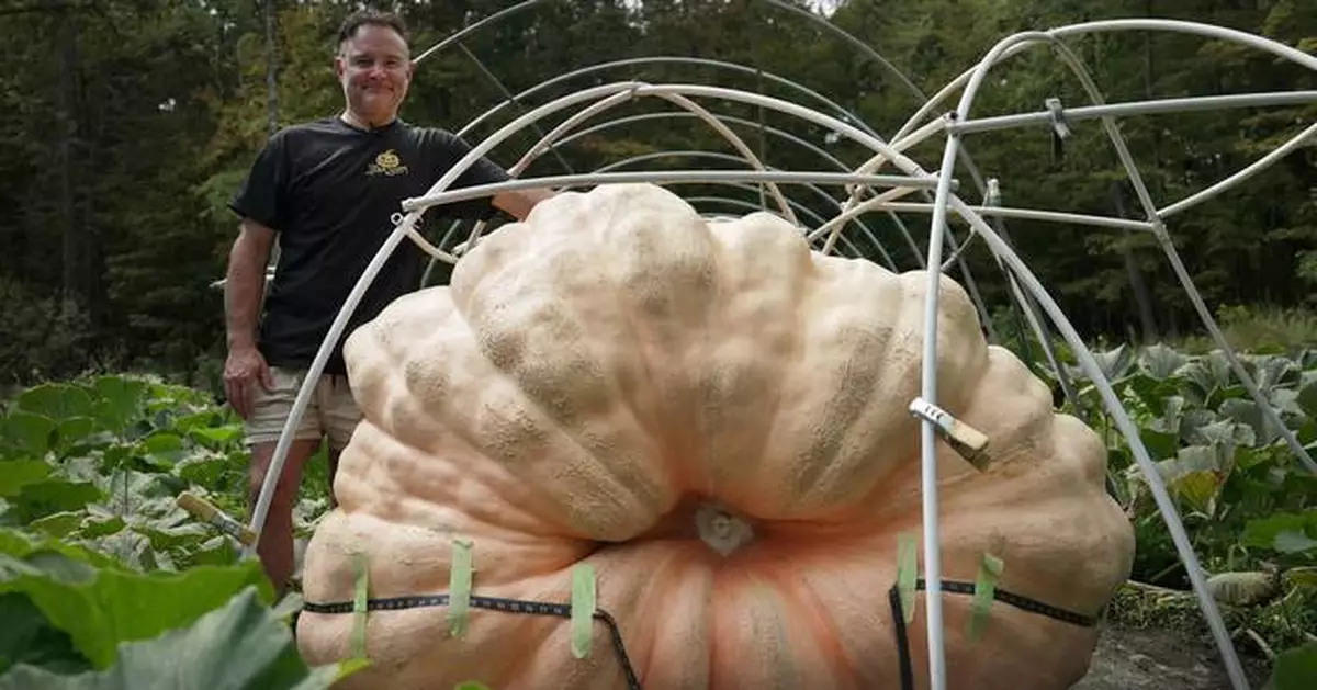 How to grow a giant pumpkin, with help from science