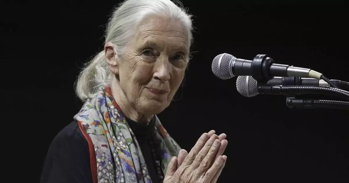 Environmentalists, politicians, celebrities recall life and influence of primatologist Jane Goodall