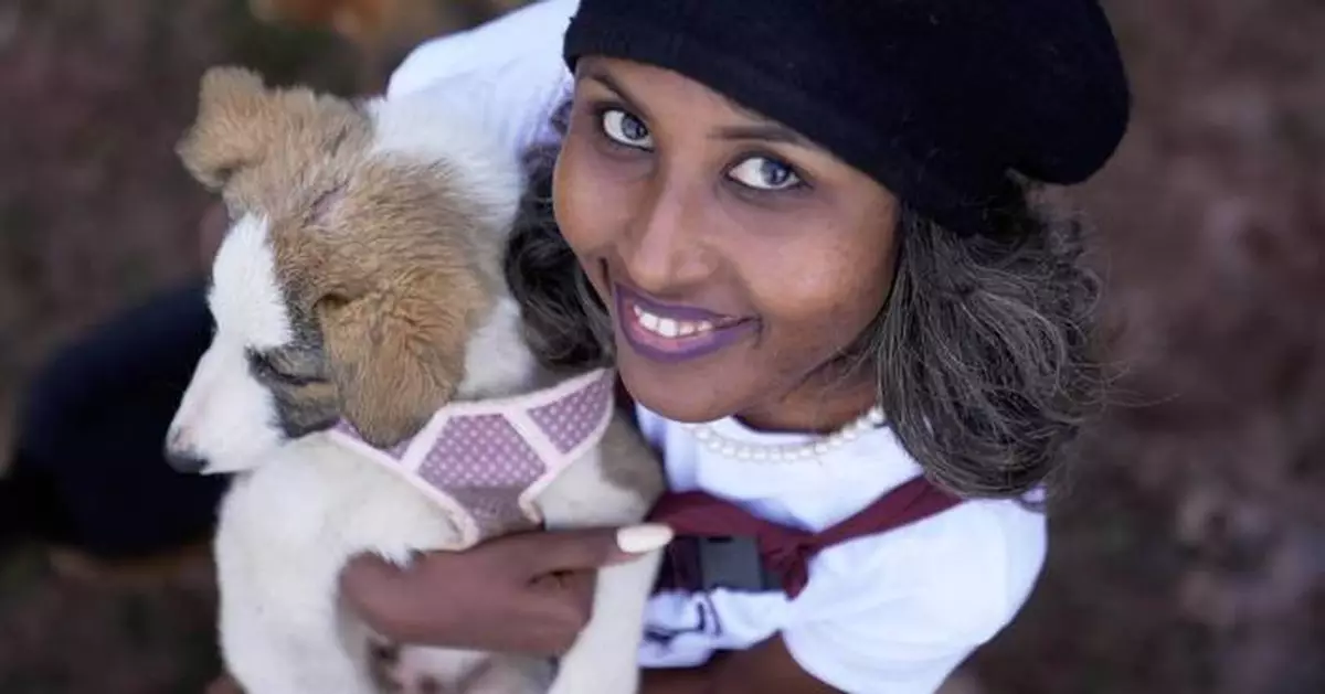 Abandoned dogs in Ethiopia's capital get little care. A woman wants to change that