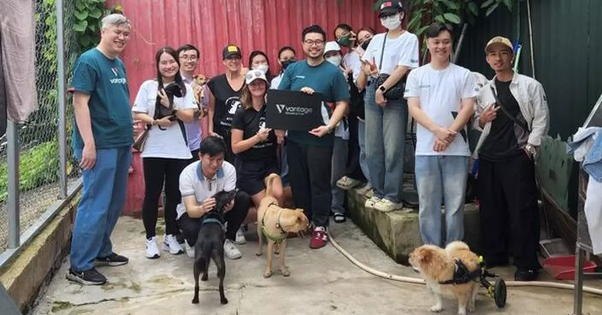 Vantage Foundation Volunteers Bring Compassion and Care to Rescued Dogs at Laws for Paws Vietnam