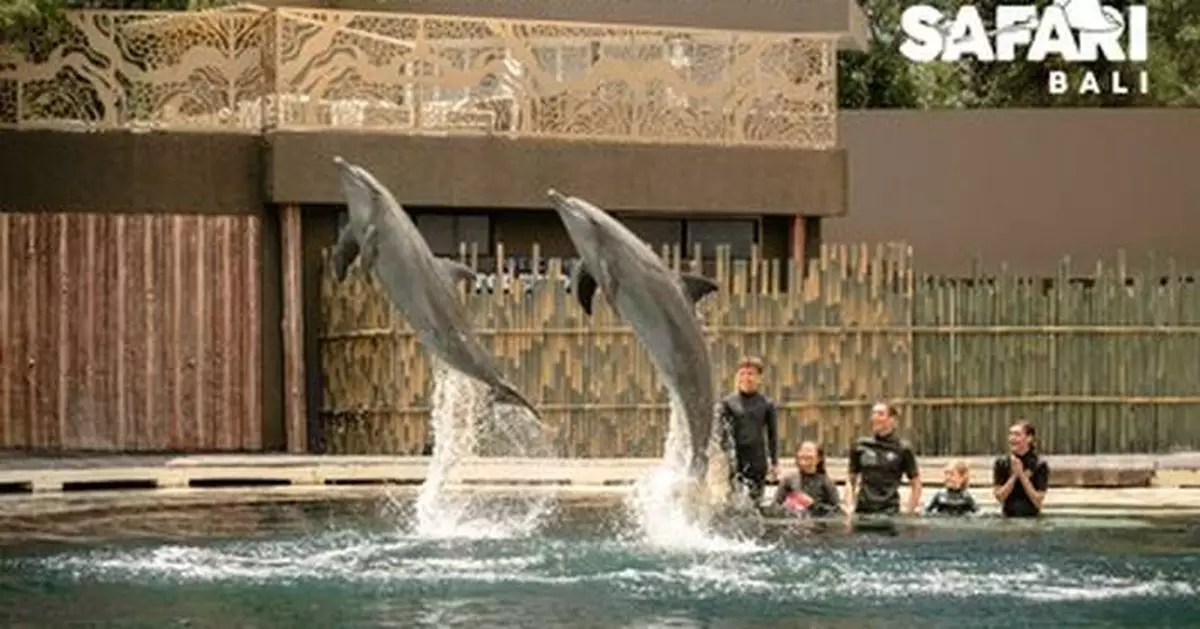 Marine Safari Bali: Adventure &amp; Unforgettable Experiences