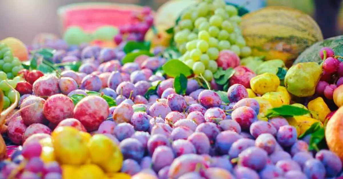 Jiashi, the County with a Touch of Sweetness