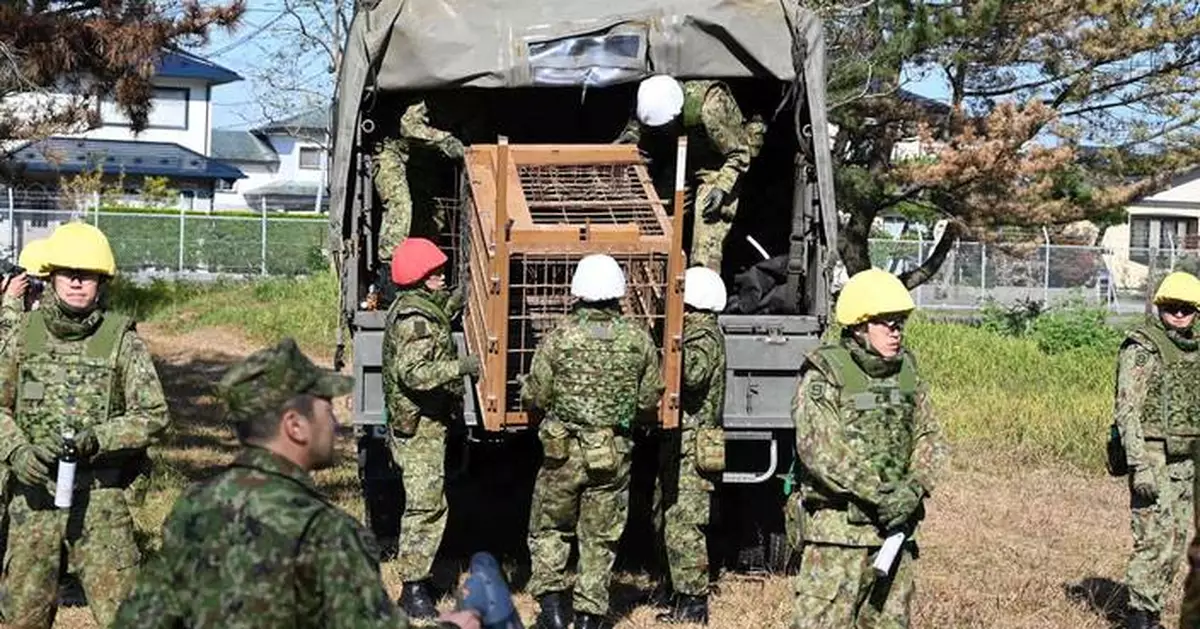 Japan deploys the military to counter a surge in bear attacks