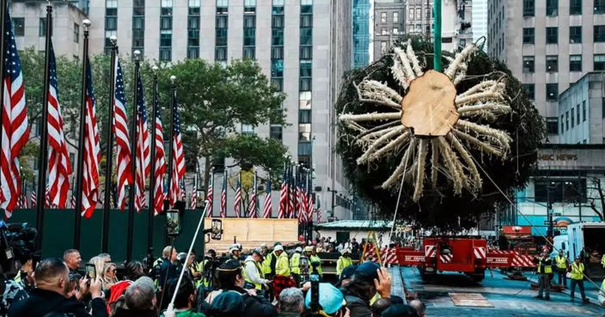 Rockefeller Center Christmas tree arrives in Manhattan, kicking off New York's holiday season