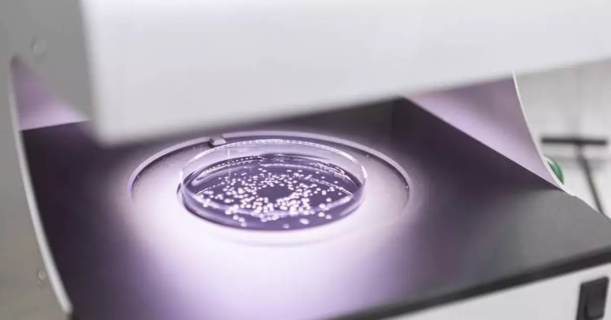 A natural breakthrough in protecting cereals and field crops