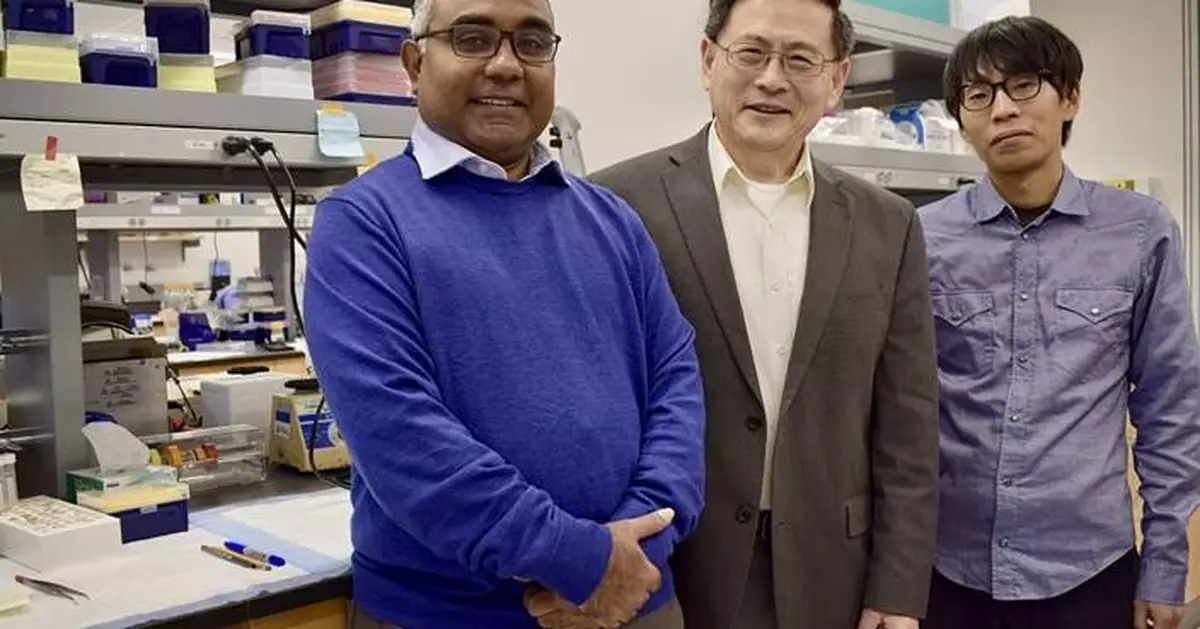 Researchers discover gut’s role in sepsis-induced liver damage, Feinstein Institutes study shows