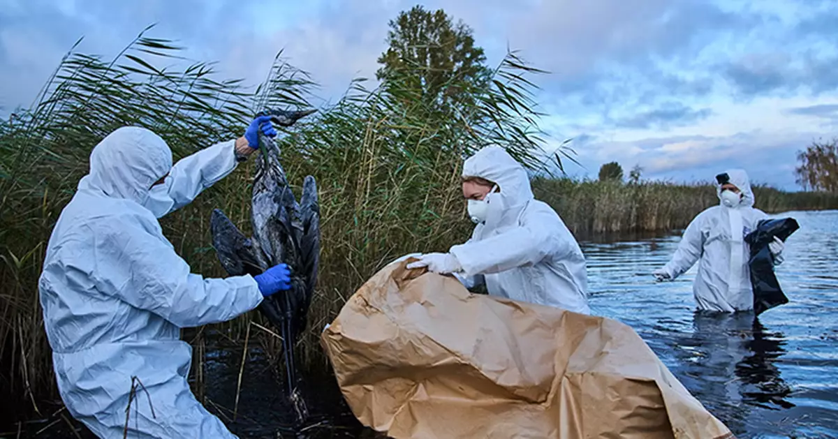 Hong Kong Suspends Poultry Imports Due to H5N1 Avian Influenza Outbreaks in Multiple Countries