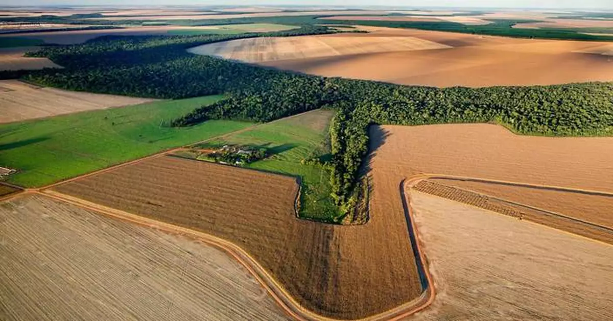 Syngenta’s REVERTE® Program Honored as Best-in-Class for Transforming Agriculture