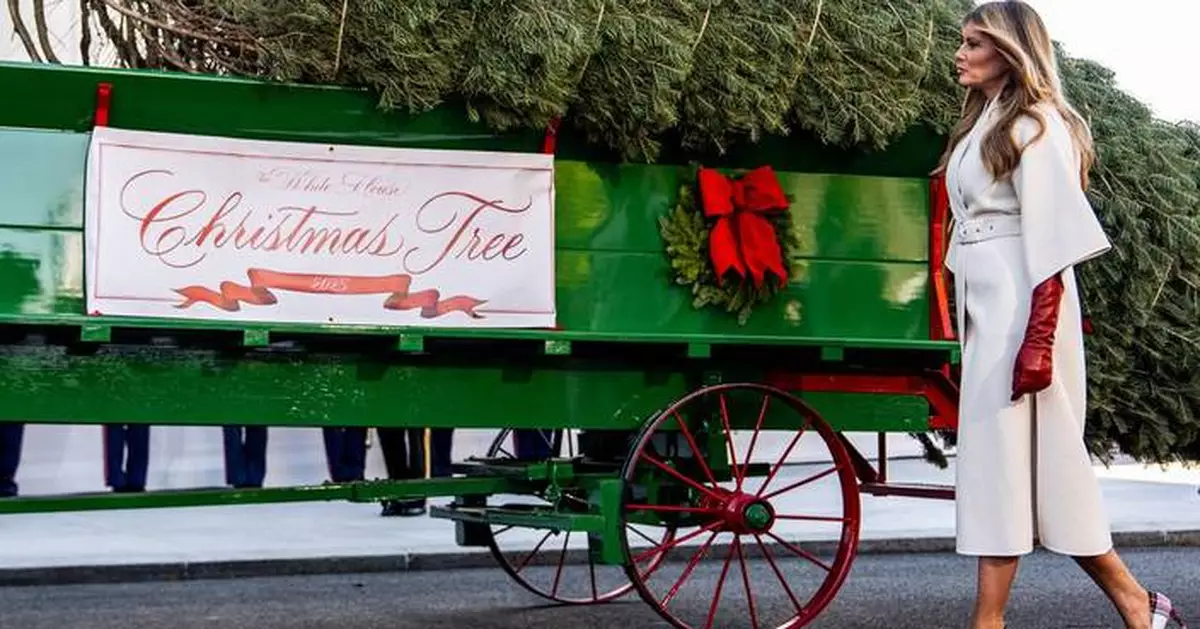 Melania Trump welcomes Christmas tree to the White House