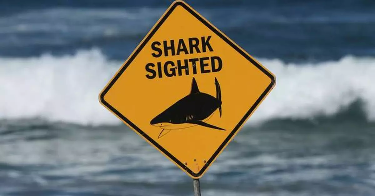 A shark kills a woman and seriously wounds another swimmer at an Australian beach