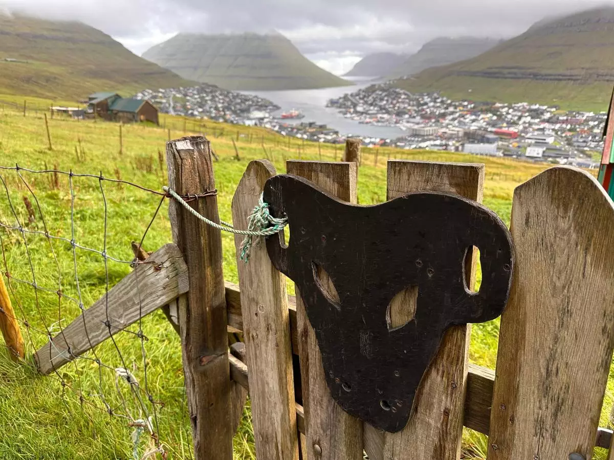 FILE - The image of a sheep decorates a gate in Klaksvik, Faroe Islands, Sept. 10, 2025. (AP Photo/Cara Anna, File)
