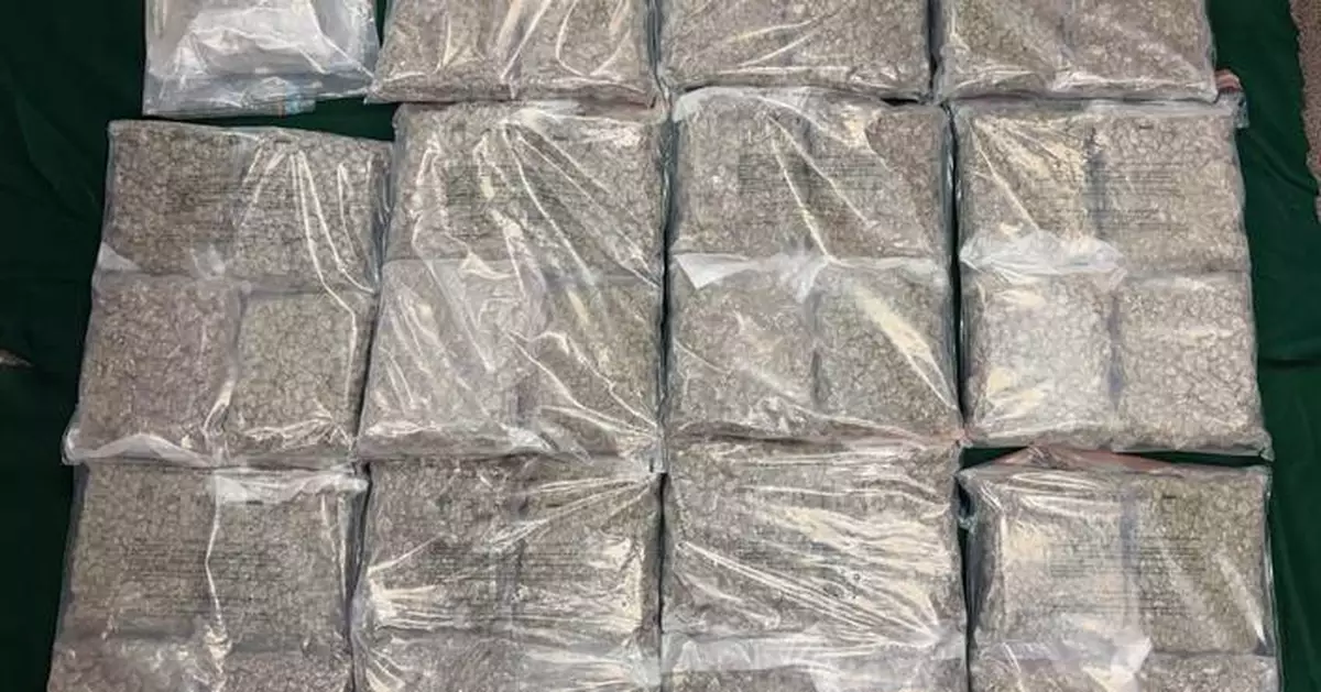 Hong Kong Customs Seizes 25kg of Cannabis Buds Worth $5.1 Million at Airport; Man Arrested