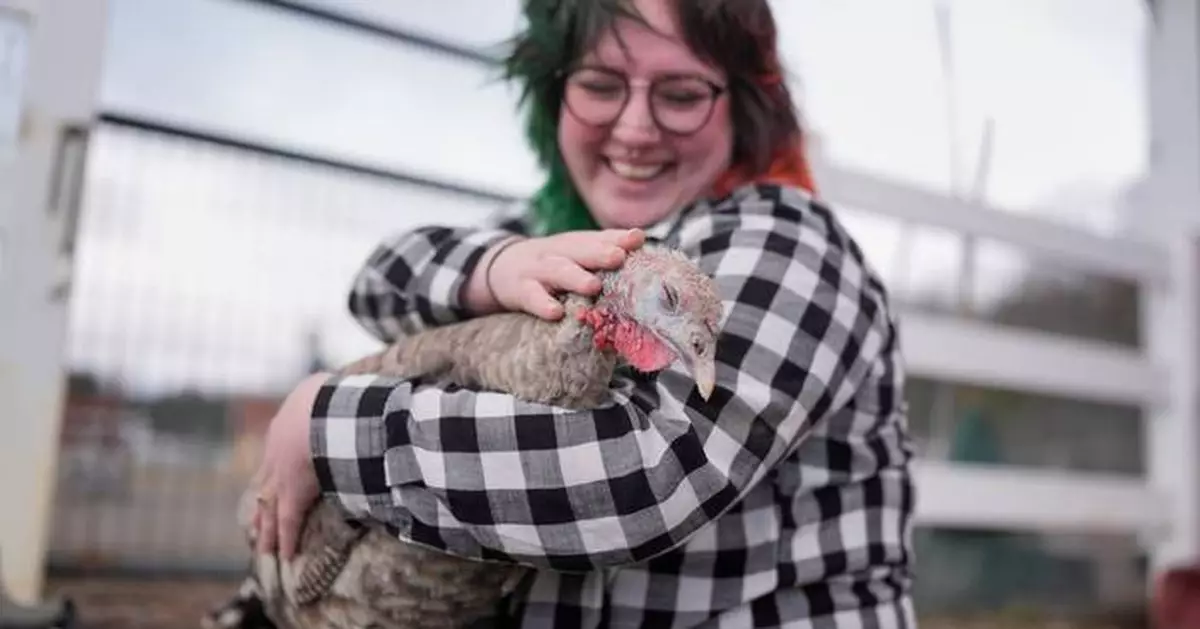 At The Gentle Barn, turkeys are for snuggling, not stuffing at Thanksgiving