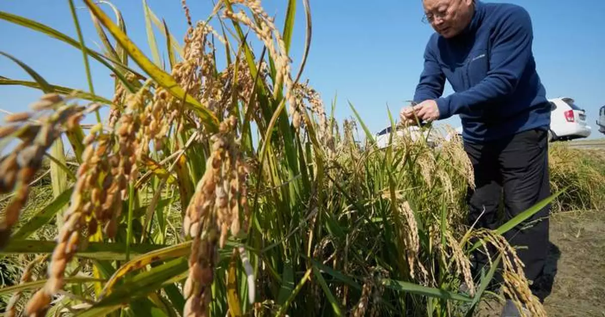 South Korean growers sue state power utility, blaming climate change for crop damage