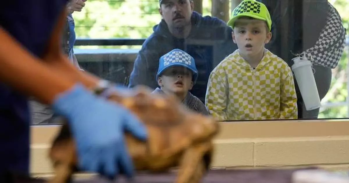 Visitors to a New Jersey zoo get to watch veterinarians treat the animals