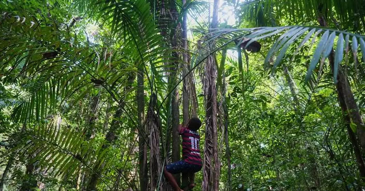 Communities of slave descendants in Brazil demand recognition of territories