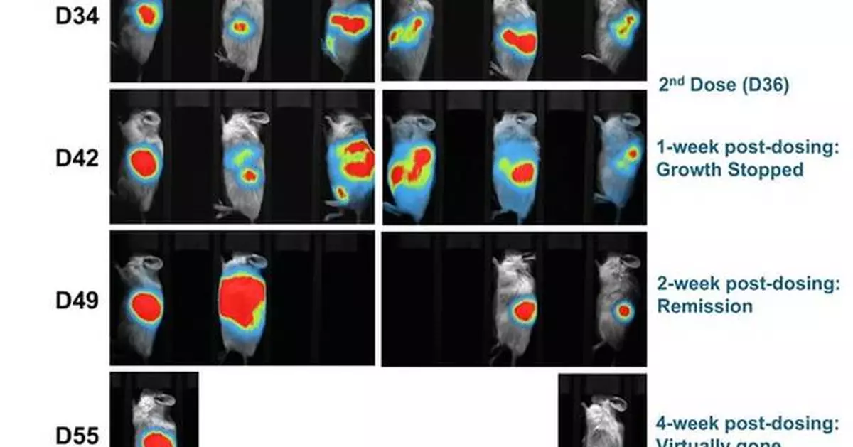 Lunai Bioworks achieves complete regression of both primary and metastatic pancreatic tumors in preclinical humanized models, marking a breakthrough in allogeneic cancer immunotherapy