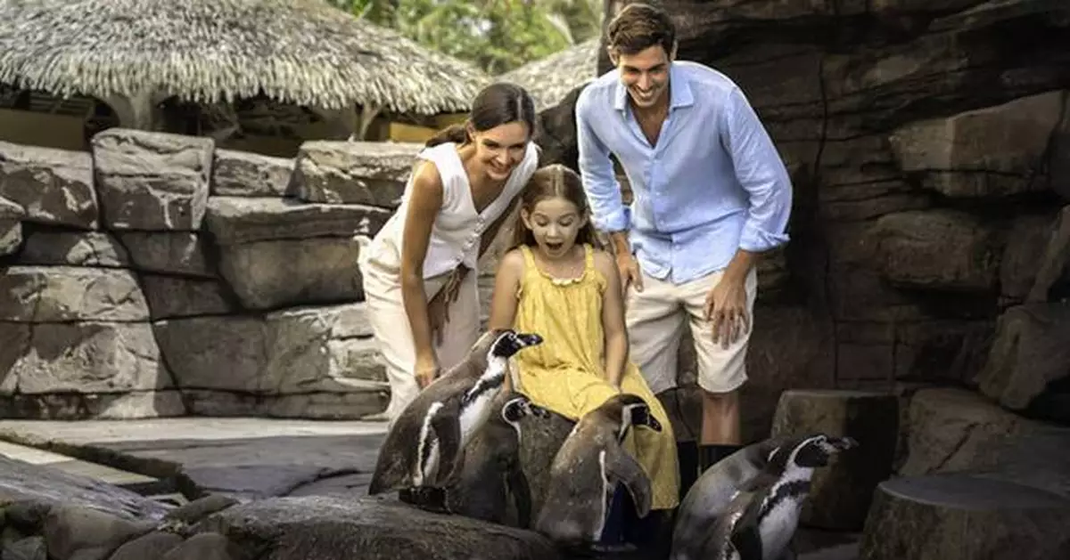 Bali Magical Adventure - Marine Safari Bali Brings a New Wave of Ocean Discovery to Southeast Asia