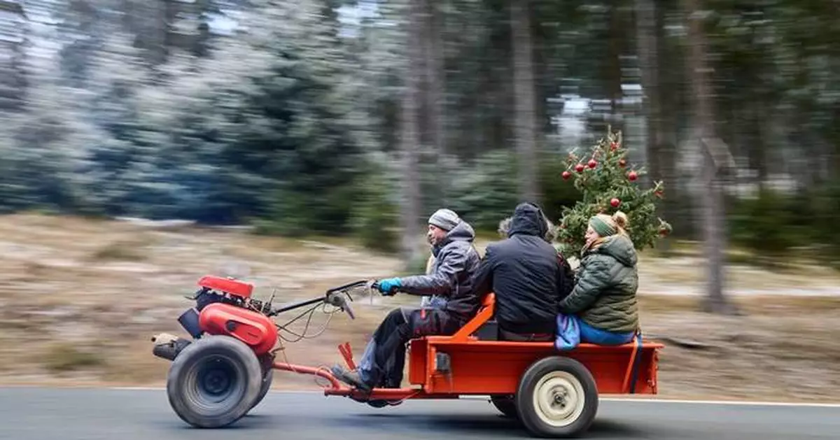 Photos of Christmas celebrations around the world