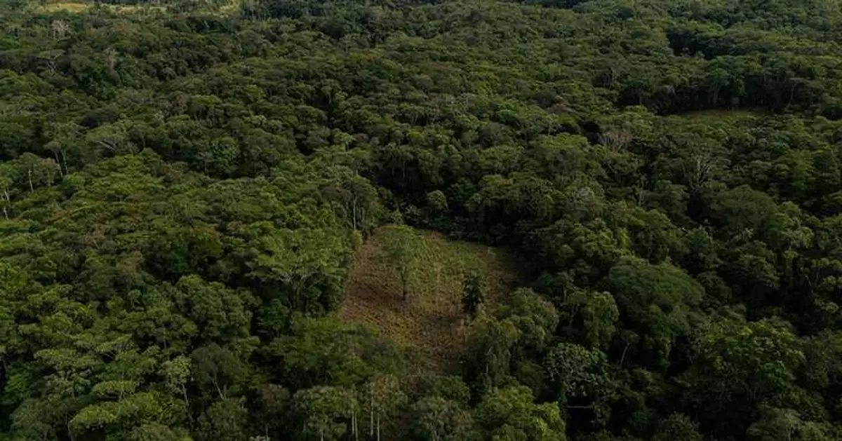 Colombia will use drones to destroy coca crops as it grapples with record cocaine production