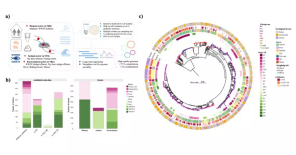 HKU Team Tracks Superbug Genes Across Hong Kong Waters