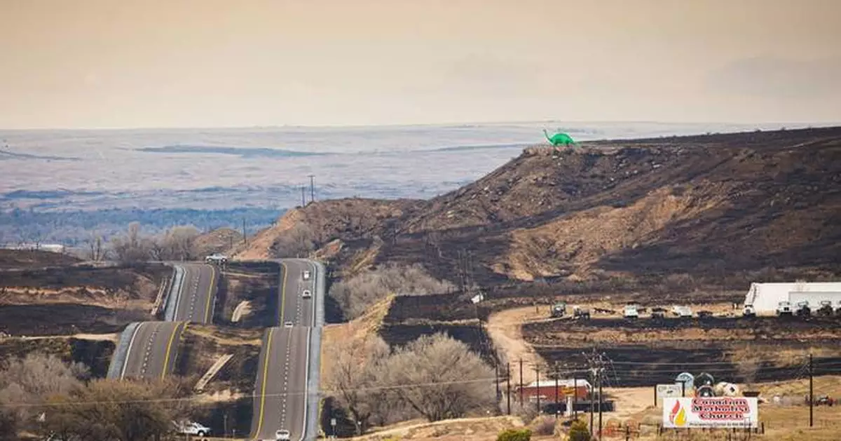 Texas sues utility company to recover damages from historic wildfire sparked by downed power lines