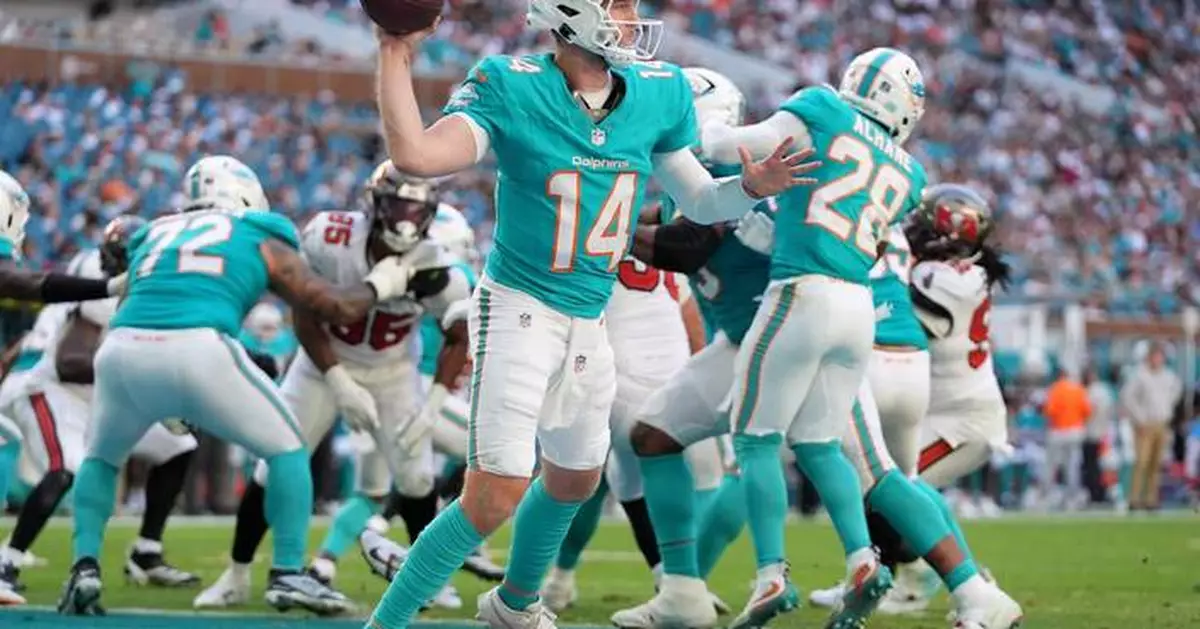 Dolphins are getting production from their young players, an encouraging sign for the future