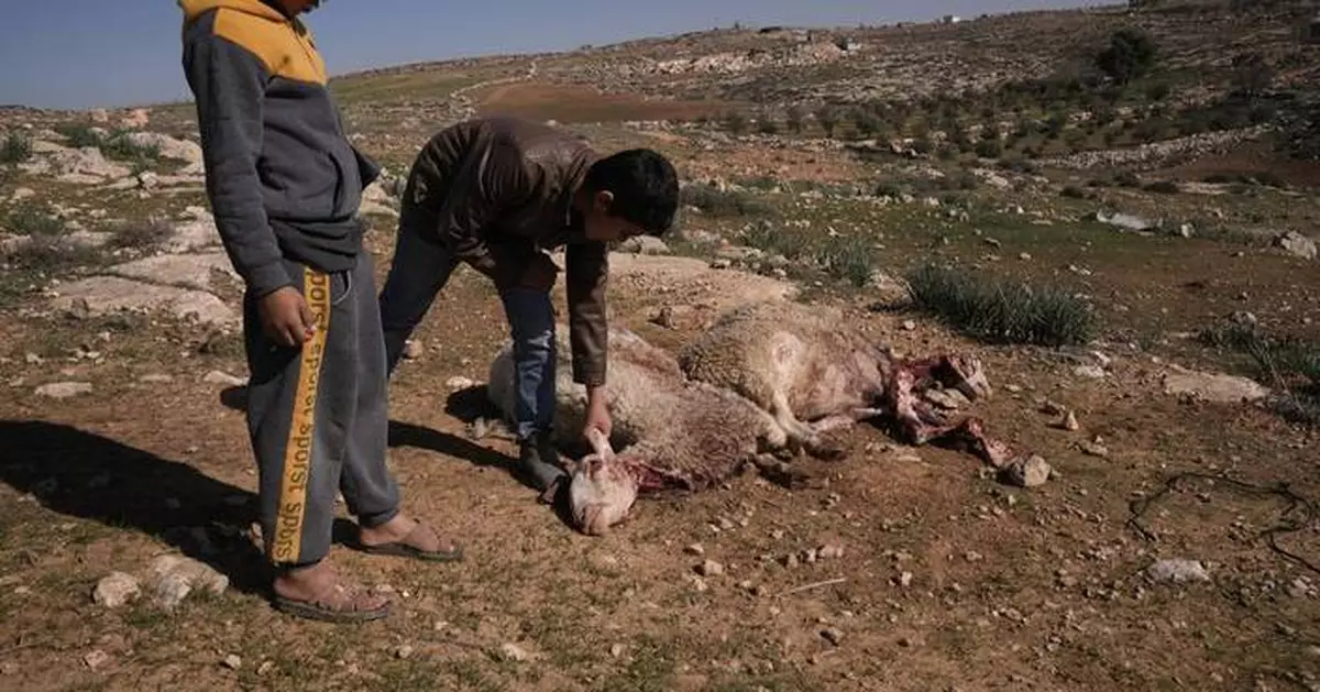 Israeli settlers forcibly enter Palestinian home in latest West Bank attack