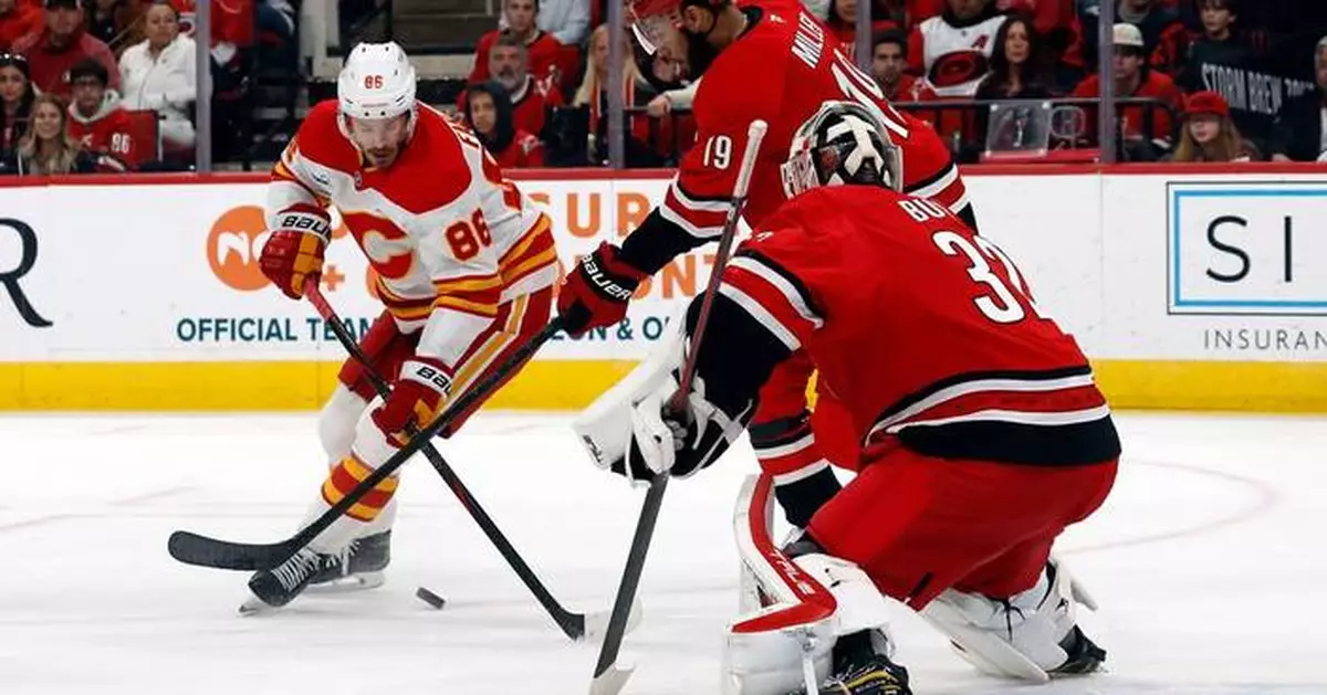 Bussi makes 15 saves for 1st NHL shutout, Ehlers scores in OT in Hurricanes' 1-0 win over Flames