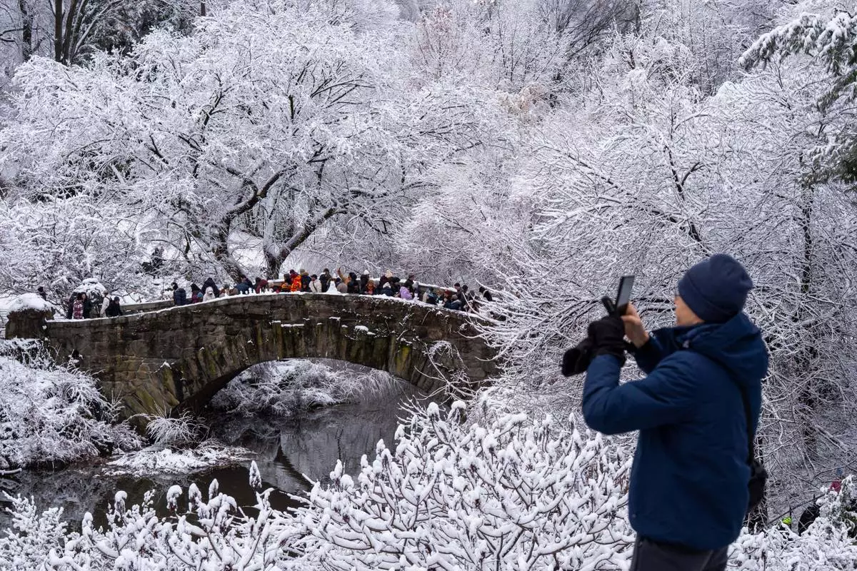A person takes a photo in Central Park after snow fall, Sunday, Dec. 14, 2025, in New York. (AP Photo/Adam Gray)