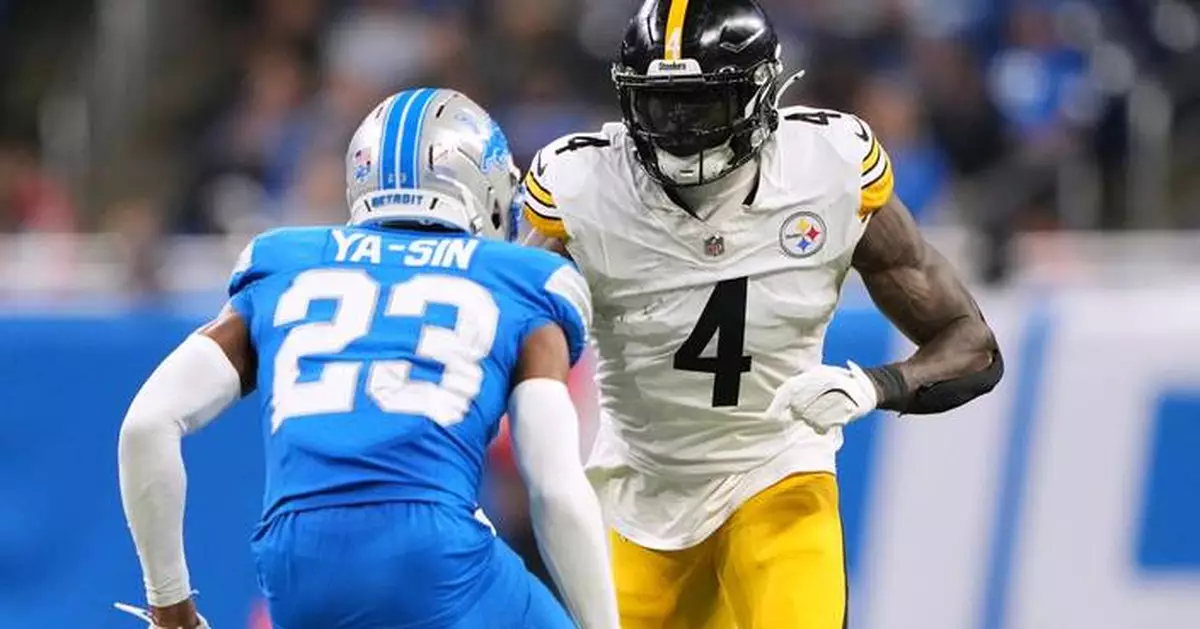 Steelers receiver DK Metcalf swipes at Lions fan leaning over railing in front row