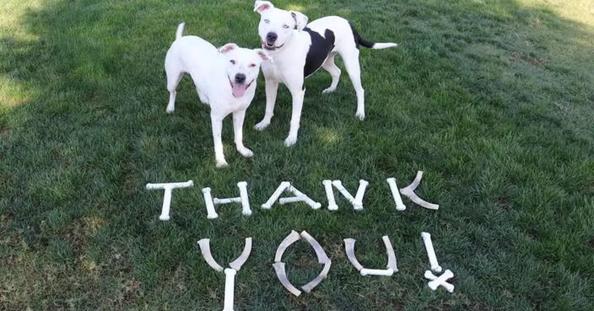 Nylabone Cares&#x2122; Gives Back With $1.3 Million of Donations in 2025