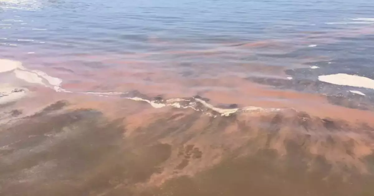 Red Tide Sighted in Deep Bay, No Fish Deaths Reported Yet
