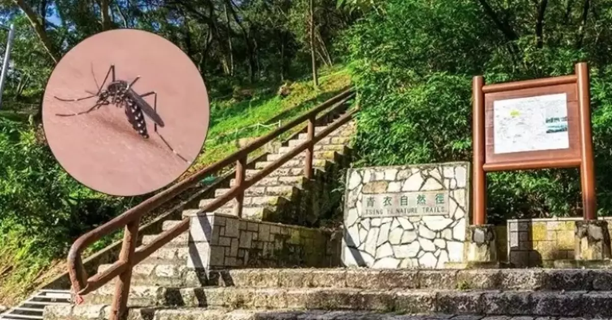 Hong Kong Reports No New Chikungunya Cases, Intensifies Mosquito Control Efforts at Tsing Yi Nature Trails
