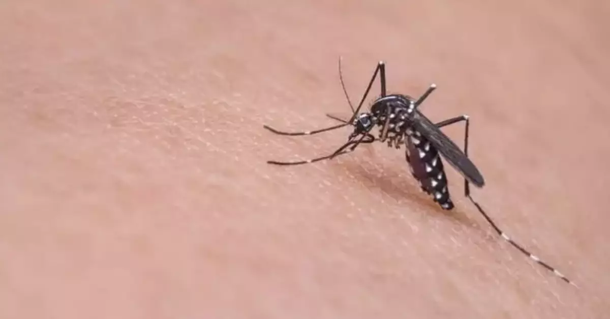 Dengue and Chikungunya Fever Update: Health Authorities Urge Mosquito Bite Prevention Measures Amid Rising Cases