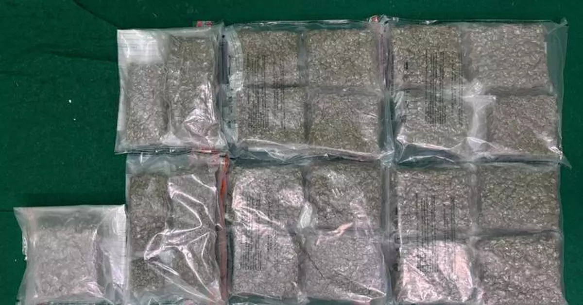 Hong Kong Customs Seizes 11 Kilograms of Cannabis Buds at Airport, Arrests Passenger from Bangkok.