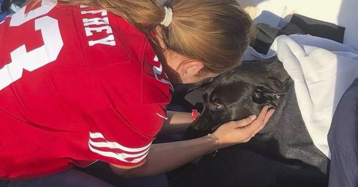 Lifeguards rescue dog swept out to sea by rip current off San Diego coast