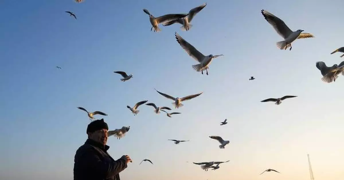 Photos of leisure and commerce along Iran's Caspian Sea coast