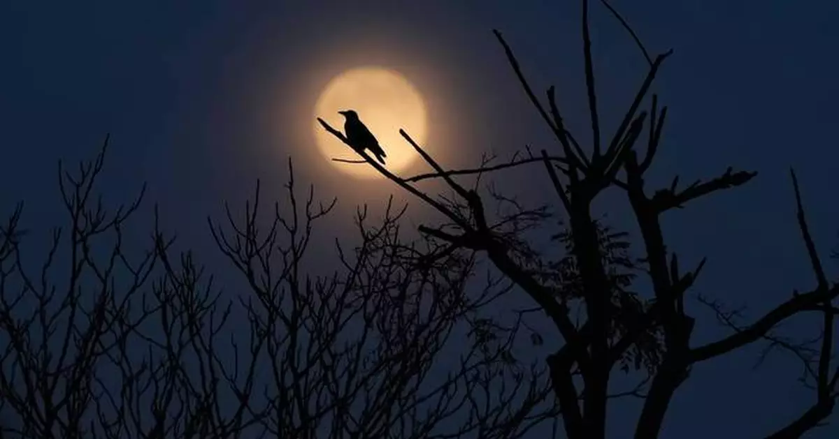 Photos show the last supermoon of the year shining in December skies