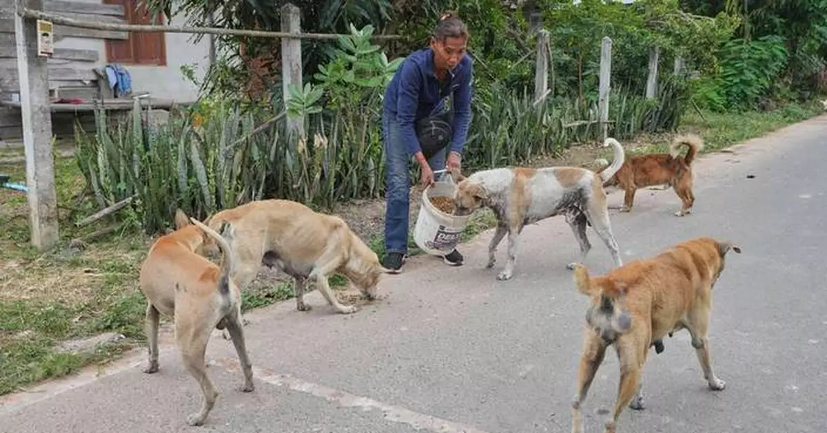 Thai villagers stay behind to guard empty homes as border clashes force mass evacuations
