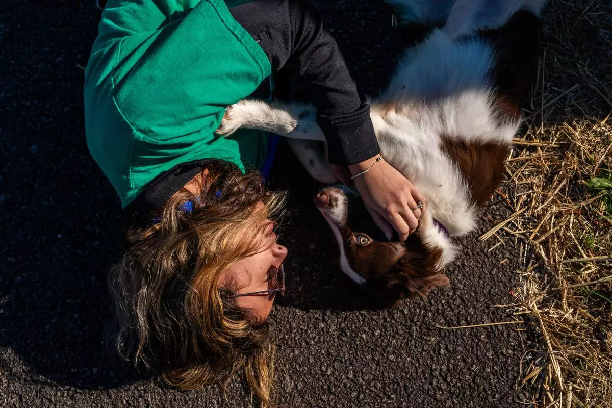 FILE - Seuk's Army volunteer Katelynn Aldarondo cuddles with a dog from an overwhelmed Southern animal shelter, to be flown to a foster and rescue group farther north, as they lie on the pavement between connecting flights at Culpeper Regional Airport in Brandy Station, Va., Nov. 23, 2025. (AP Photo/Allison Robbert, File)