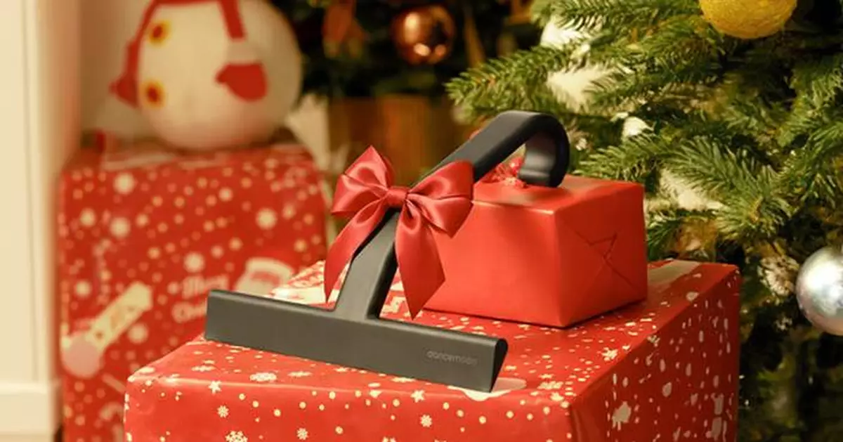 Make Practicality Stylish This Holiday Season with JustHang Squeegee