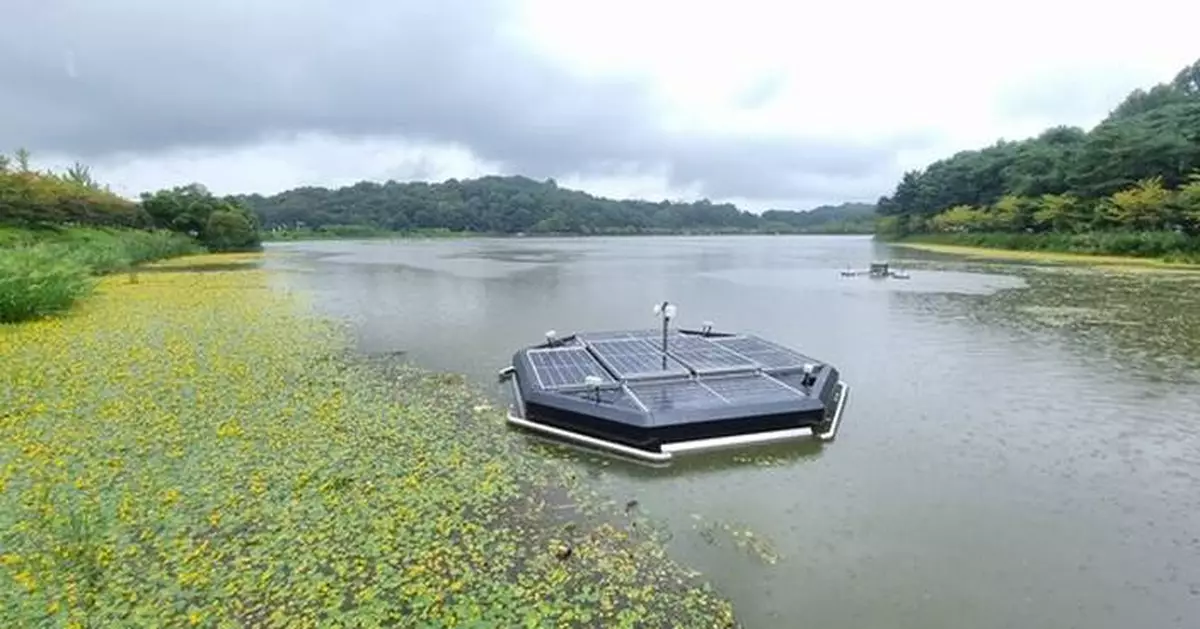 ECOPEACE Accelerates Global Deployment of AI-Driven Water-Cleanup Technology in Singapore and Dubai