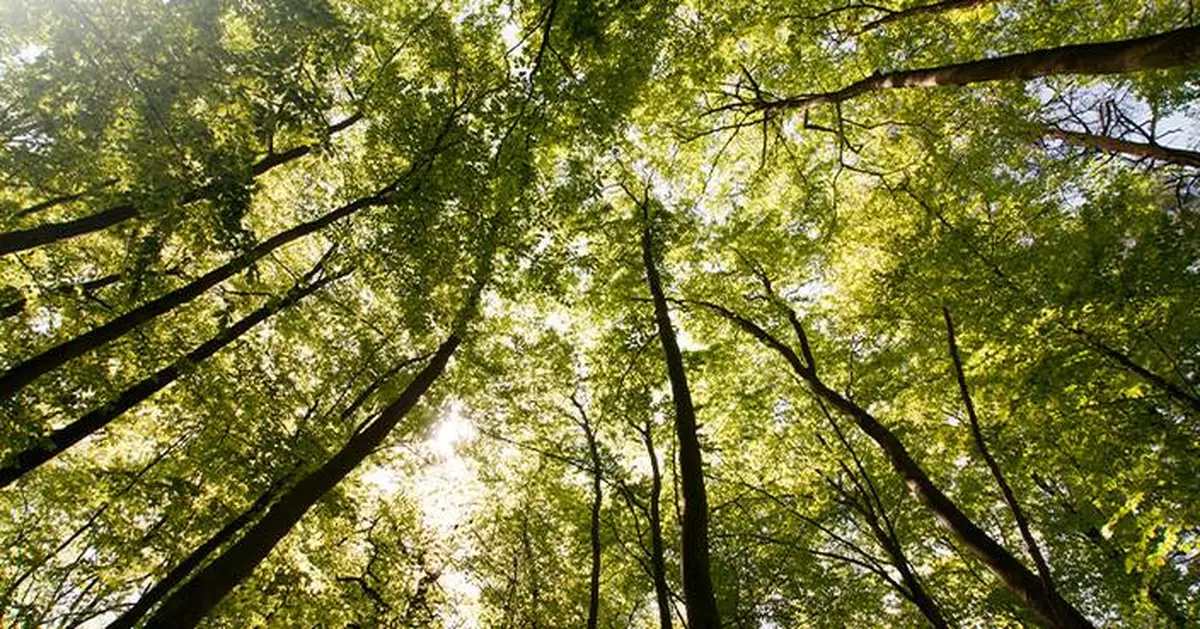 Credo Assurance Earns ESG Certification to Support Sustainability Reporting